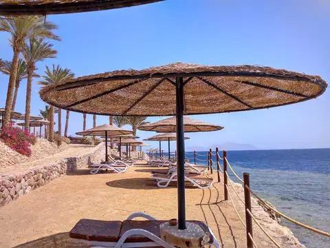 Strand met parasols van Grand Rotana Resort en Spa