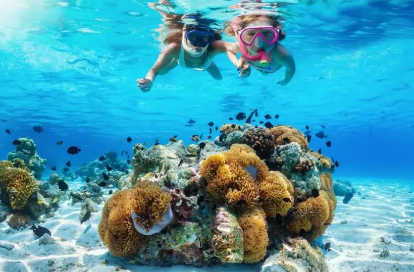 Straat van Tiran: snorkel- of duikboottocht bij Sharm el Sheikh
