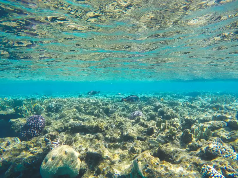 Reef Beach bij Sharm el Sheikh